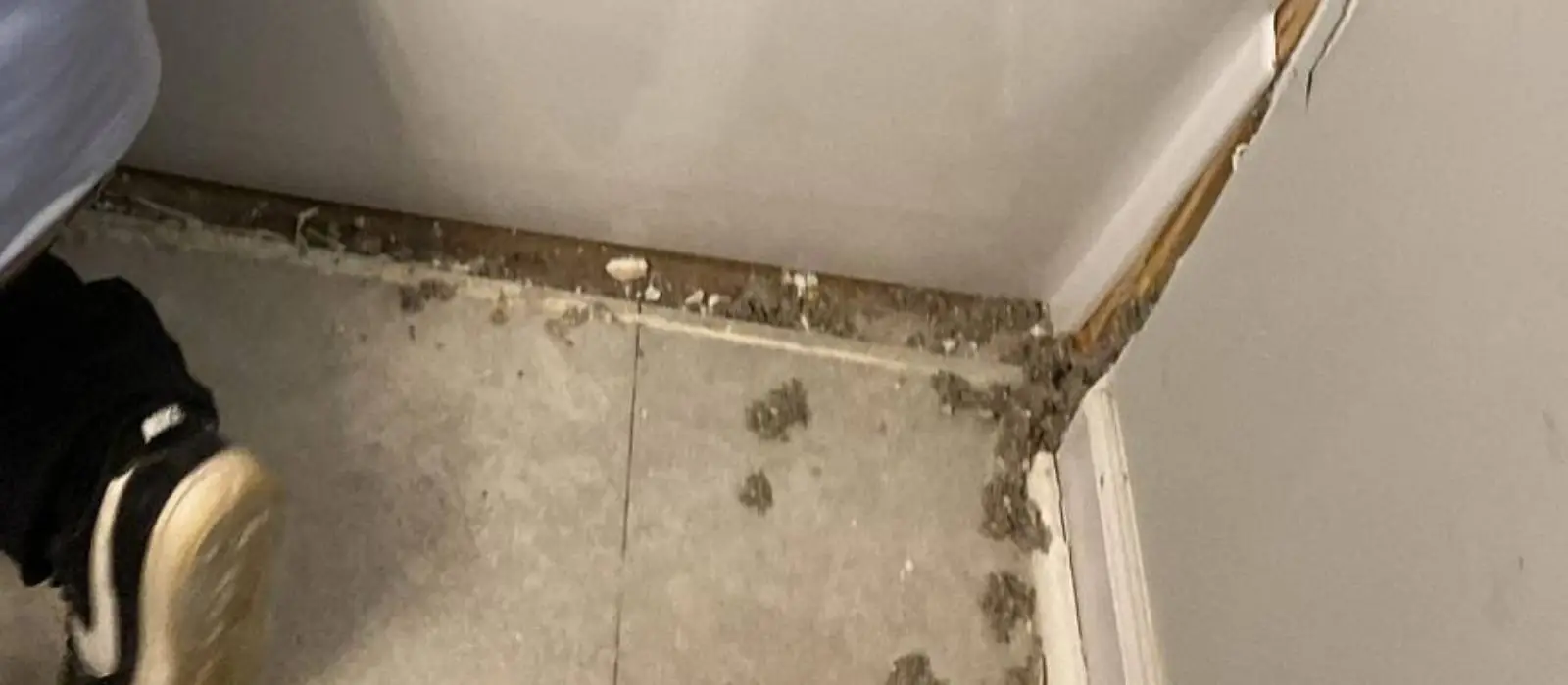 Flooring installation service