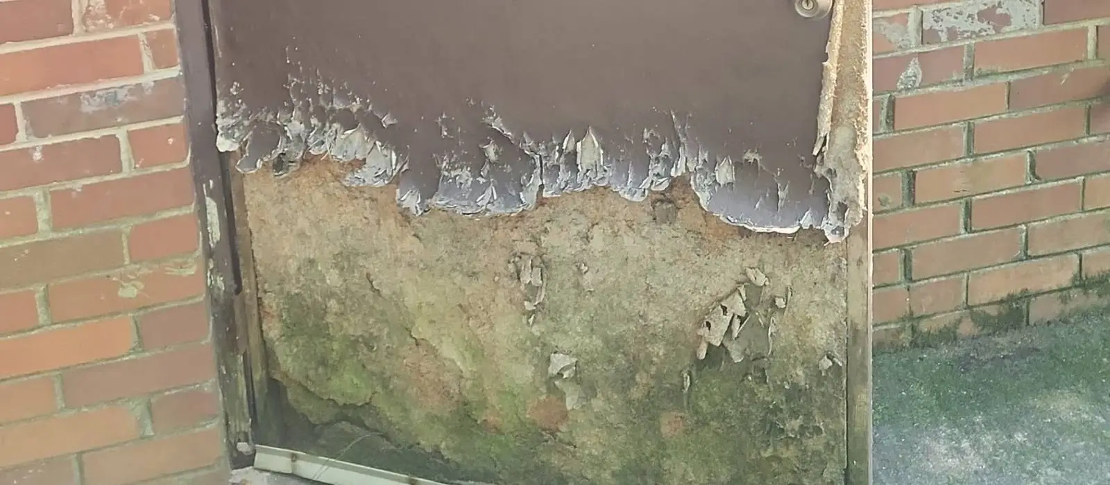 Home improvement service